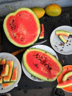 vattenmelonfrön